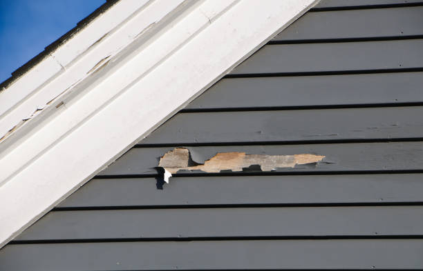 Best Garage Cleanout  in El Sobrante, CA